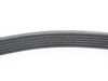 ES#4069357 - 6K1145 - A/C Belt  - Replace cracked, dried out belts for noise-free operation - Continental - Volkswagen