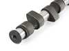 ES#3706947 - 109074 - Street/Race Camshaft (276) - Great high end power for street and mild race - Techtonics Tuning - Volkswagen
