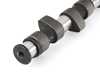 ES#3706947 - 109074 - Street/Race Camshaft (276) - Great high end power for street and mild race - Techtonics Tuning - Volkswagen