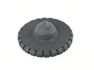 spring plate
