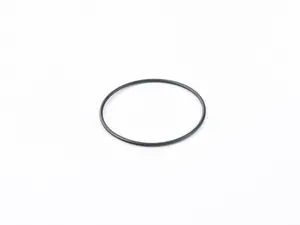 Thermostat Housing O-Ring