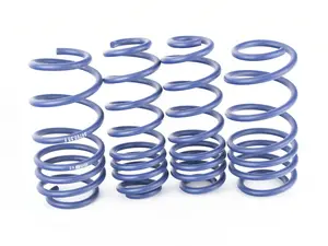 OE Sport Spring Set