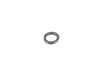 ES#4136087 - 11437794484 - O-Ring - Genuine BMW - BMW
