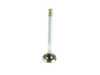 ES#10479 - 027109611B - Valve, Exhaust - TRW - Volkswagen