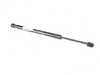 ES#2611626 - 41618056705 - GAS PRESSURIZED SPRI - Genuine BMW - BMW