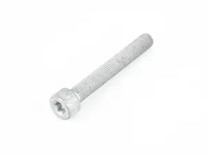 Caliper Mounting Bolt - Priced Each