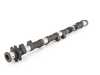 ES#3025558 - TMS1182 - BMW S85 10 Cyl. 292/280-Degree - Camshaft Set - Mild Street and Track Camshaft Setup - Schrick - BMW