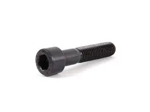 Fillister Head Screw