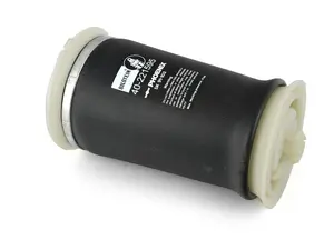 Rear Air Spring - Priced Each