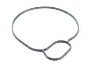 Water Pump Gasket