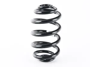 Rear Coil Spring - Heavy Duty