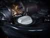 ES#4147241 - 027493ecs01-02KT - Billet Engine Oil Cap - Clear Anodized  - Lose the plastic! - ECS - Audi