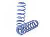 ES#3639589 - 54855 - Tiguan MQB Lift Spring Set - Average raising of vehicle front: 1.0", rear: 1.0" - H&R - Volkswagen