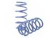 ES#3639589 - 54855 - Tiguan MQB Lift Spring Set - Average raising of vehicle front: 1.0", rear: 1.0" - H&R - Volkswagen