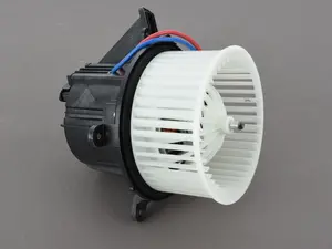 Blower Motor