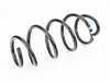 ES#1178846 - 5N0411105AE - Front Spring  - 1 green, 1 white & 1 blue mark - Genuine Volkswagen Audi - Volkswagen