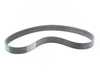 ES#2562690 - 11287604937 - Accessory Belt - Alternator / Water Pump Belt - Genuine BMW - BMW