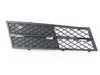 ES#2584163 - 51117200700 - GRILL, AIR INTAKE, P - Genuine BMW - BMW