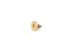ES#97135 - 51411959137 - 8-SCREW - Genuine BMW - BMW