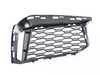 ES#3193302 - 51118063421 - GRILL, AIR INTAKE, O - Genuine BMW - BMW