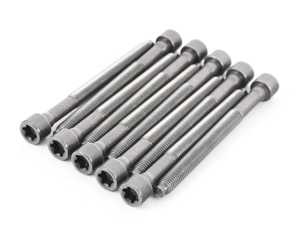 ES#4147805 - 06D103385DS1 - Cylinder Head Bolts - Set Of 10 - Set of one time use bolts to secure the cylinder head to the block. M10x1.5x112 - Victor Reinz - Volkswagen