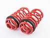 ES#2858604 - MRLSBX507 - Lowering Spring Kit - Get rid of that ugly wheel gap with these Megan Racing lowering springs with an avg. drop of (2") in the front, & (1.3") in the rear - Megan Racing - BMW