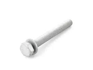 Hex Bolt with Washer