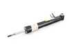 ES#58555 - 33526781924 - SHOCK ABSORBER - Genuine BMW - BMW