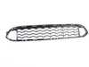 ES#2921569 - 51118056939 - GRILL, CENTER LOWER - Genuine BMW - BMW