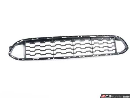 ES#2921569 - 51118056939 - GRILL, CENTER LOWER - Genuine BMW - BMW
