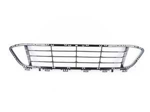 ES#2994247 - 51117383353 - GRID, CENTER OPEN - Genuine BMW - BMW