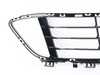 ES#2994247 - 51117383353 - GRID, CENTER OPEN - Genuine BMW - BMW