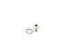 ES#2992215 - 010974ECS01 -  Stainless Steel Magnetic Drain/Fill Plug - Priced Each - Capture harmful particles to prevent wear. M10x1x10 - ECS - Audi Volkswagen