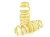 ES#2574776 - 25310078 - KW H.A.S. - Adjustable Coilover Spring System - Retains the use of your factory equipped dampening system while providing the ability to adjust ride height - KW Suspension - Audi