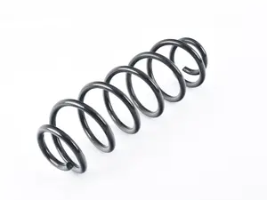 Rear Coil Spring - Priced Each