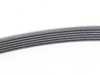 ES#2800606 - 89973692 - MULTI RIB BELT - 6 PK 2100 - Continental - Mercedes Benz