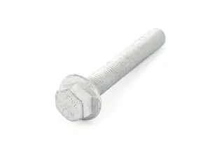 HEXAGON-HEAD SCREW 1