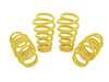 ES#4056953 - 13210075 -  ST X Performance Coilover System - Fixed Damping - Set your vehicle low and tight for optimal performance. - Suspension Techniques - Audi