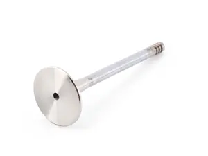 Exhaust Valve - Priced Each