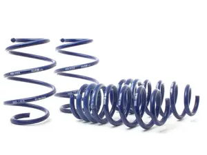 OE Sport Spring Set