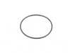 ES#2570331 - 03H121119 - Water Pump Sealing Ring - Seals connection point between the water pump and the engine - Genuine Volkswagen Audi - Audi