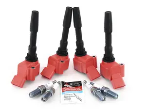  RS Red Top Performance Ignition Service Kit 