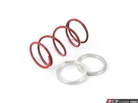 ES#4029677 - fmwcsr - Wastegate Springs & Shims - Red - (NO LONGER AVAILABLE) - These are the individual springs and shims sold in our FMWCSPK kit for our 44mm wastegate FMWCW1. - Forge - 
