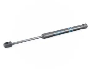 Hood Lift Support