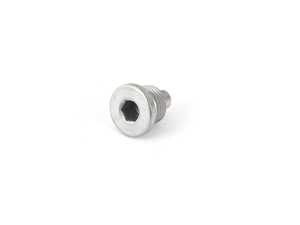 ES#2165517 - 11137720999 - SCREW PLUG, MAGNETIC - Genuine BMW - BMW MINI