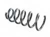 ES#2775357 - 31336862233 - Coil Spring - Genuine BMW - BMW