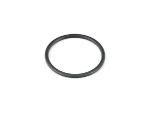 Water Pump O-Ring
