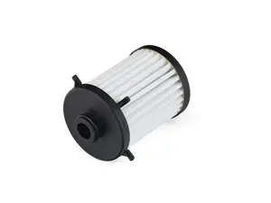 DSG Filter - Low Pressure