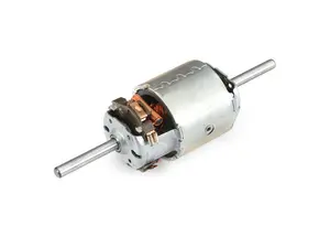 Blower Motor