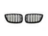 ES#2973053 - 015737ECS02A - F22 Dual Slats Blackout Grille Set - Gloss Black - Add style and individuality to your BMW in minutes! - ECS - BMW